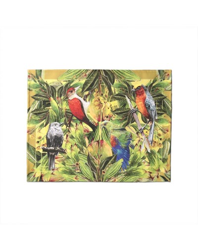 Juego x 6 individuales aves de Colombia