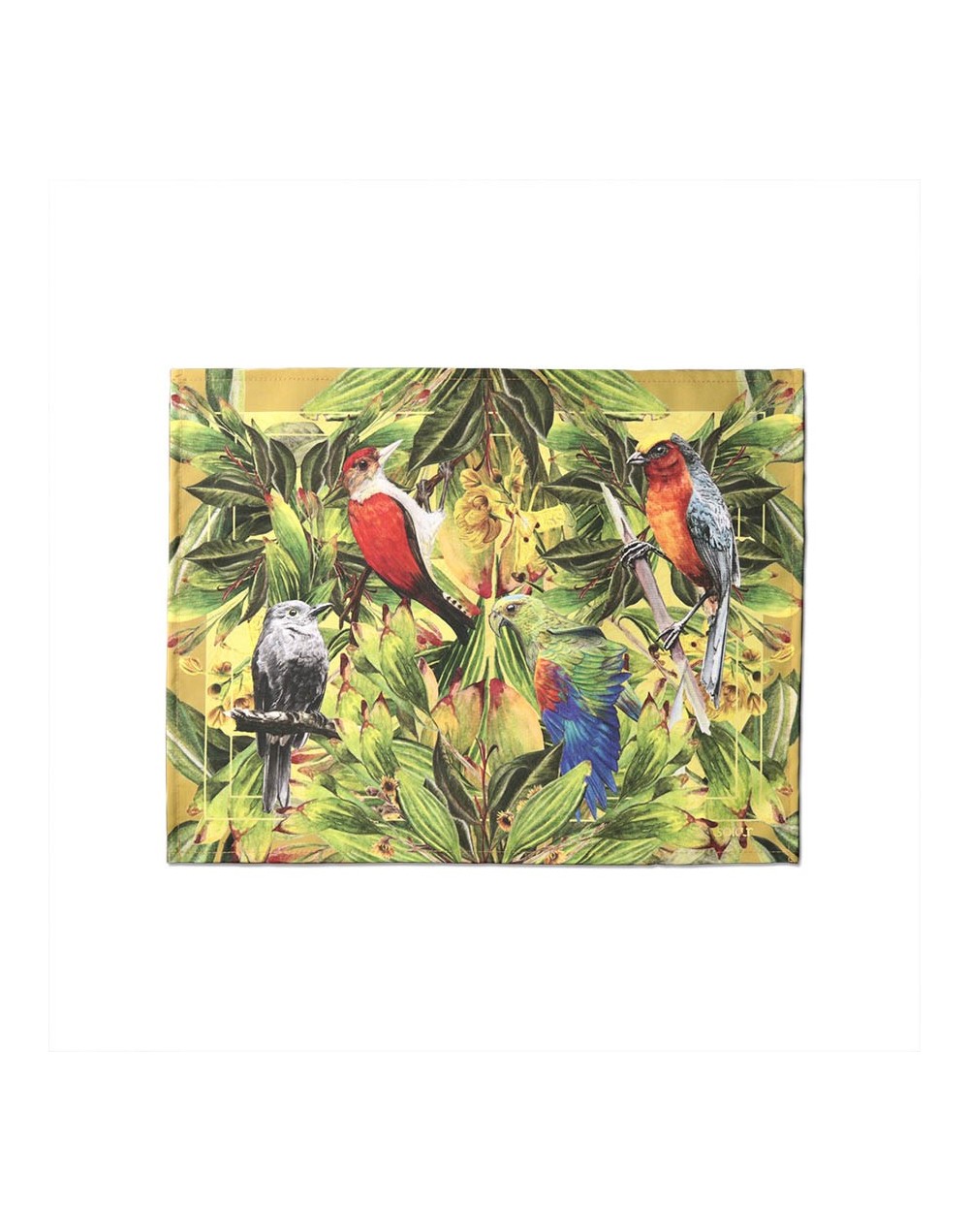 Juego x 6 individuales aves de Colombia