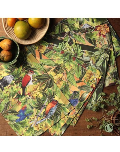 Juego x 6 individuales aves de Colombia