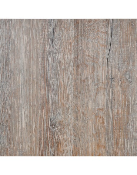 Botiquín - Tortugas