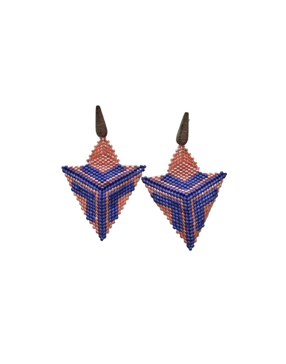 Maxiaretes carlotta