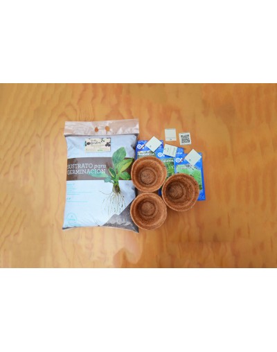 Kit de Siembra