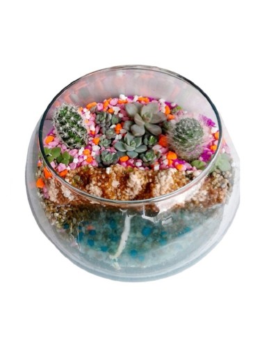Mini jardin en bombonera de vidrio 