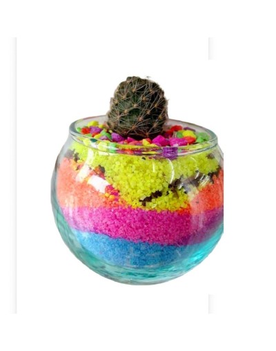 Cactus decorado