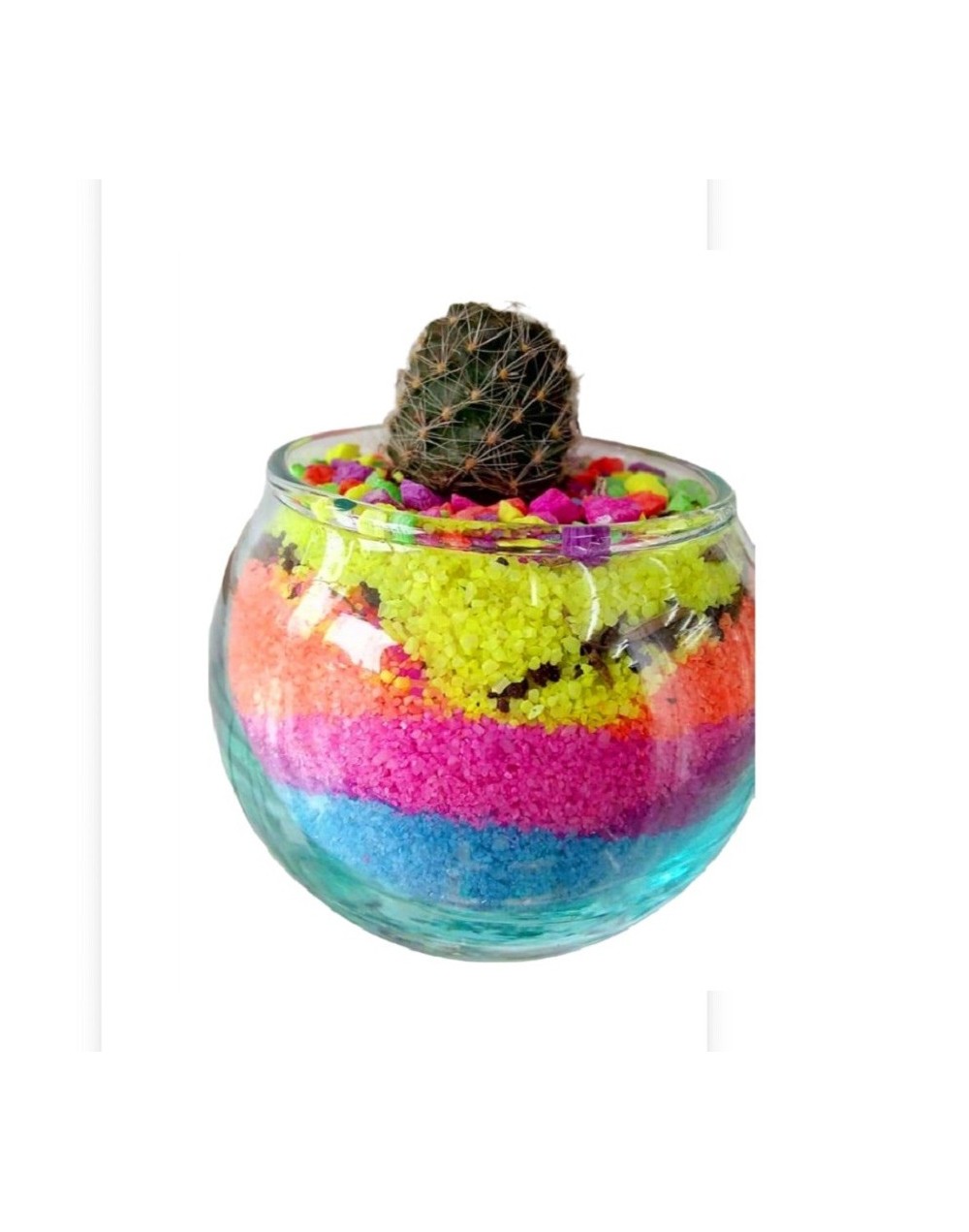 Cactus decorado