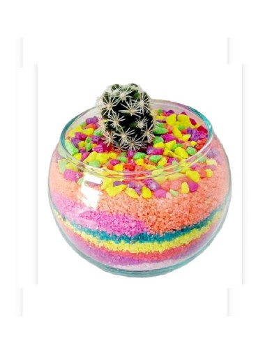 Cactus decorado