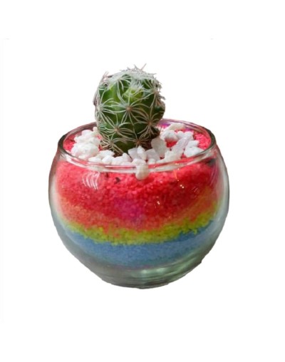 Cactus decorado