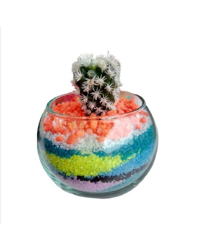 Cactus decorado