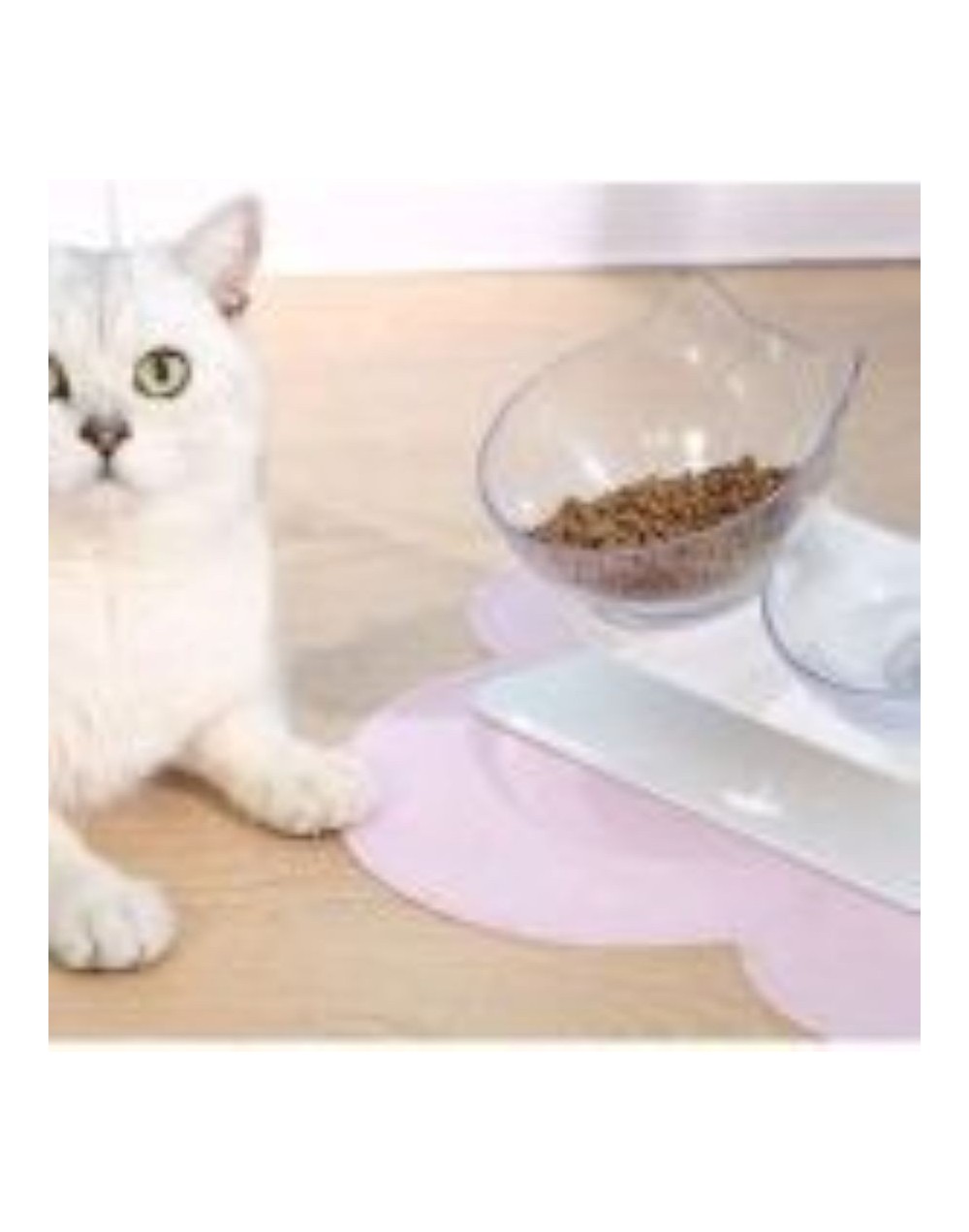 Comedero cara de gato