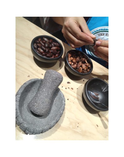 Taller Transforma  El Grano del Cacao Como Lo Hacian Nuestros Ancestros 