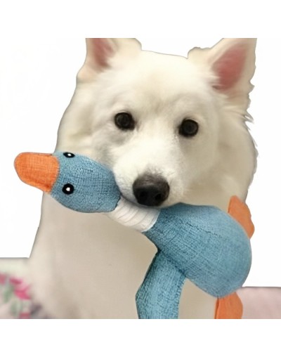 Juguete mordedor pato