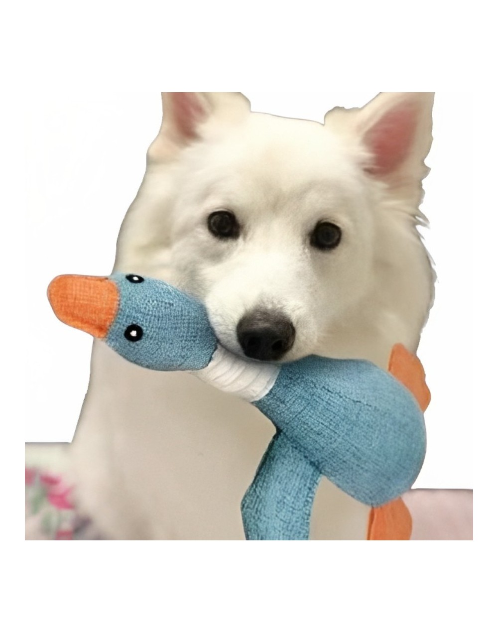 Juguete mordedor pato