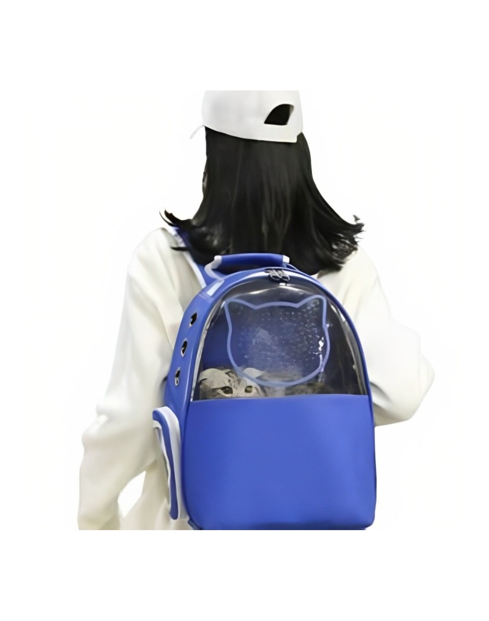 Morral Mitad transparente Cara de gato