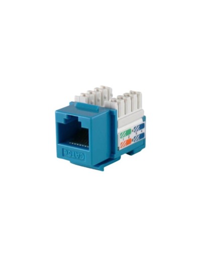 Jack RJ45 Categoria 5E Color Azul