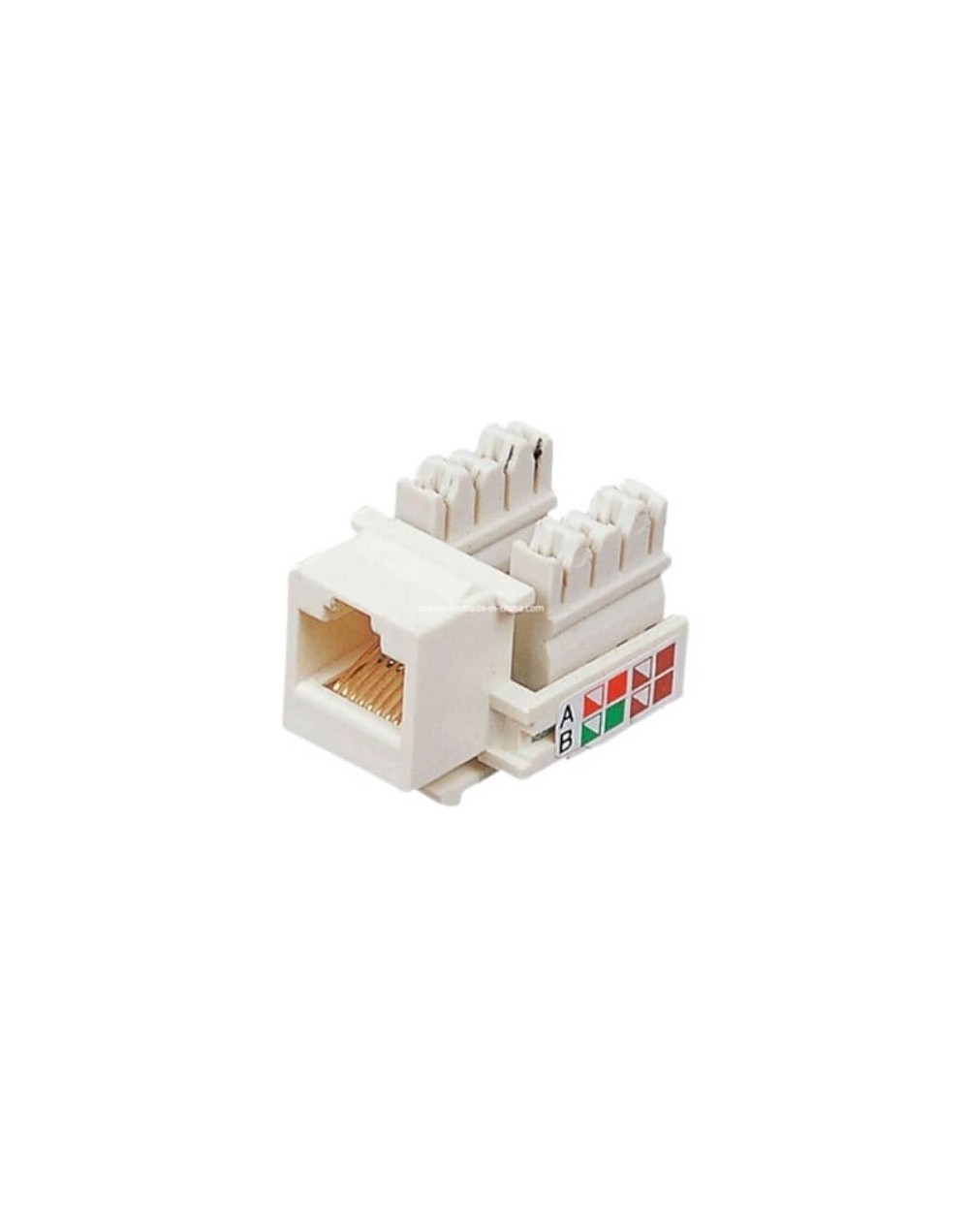 Jack RJ45 Categoria 5E Color Blanco