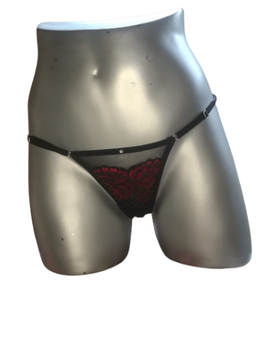Tanga artemisa 4