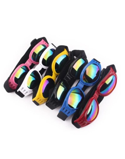 Gafas para perros