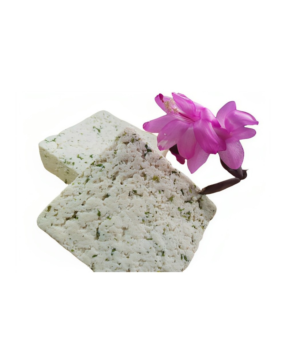 Tofu al Ajillo