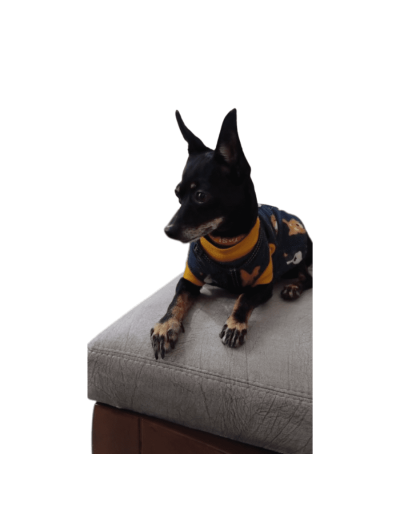 Bastidor o asiento silla de comedor ii