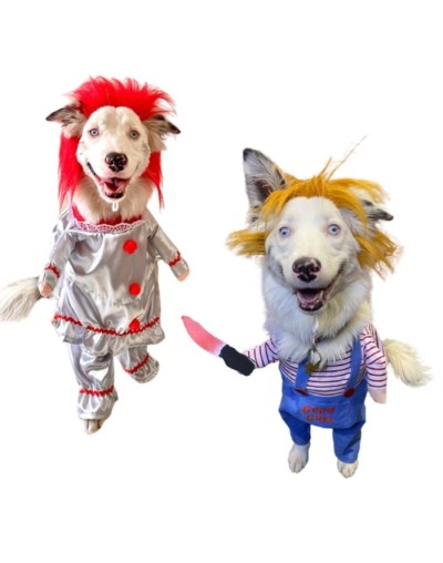 Disfraces para mascotas