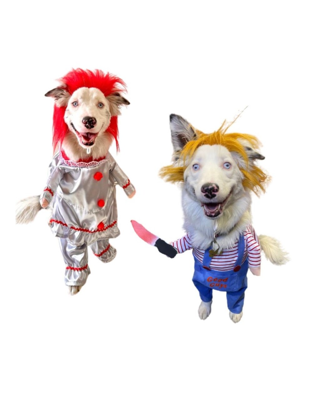 Disfraces para mascotas