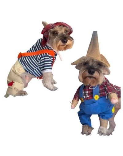 Disfraces para mascotas