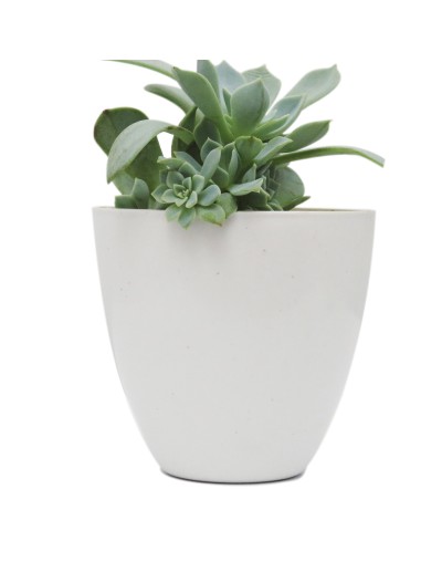 Matera Blanco Hueso Mini Elaborada en plástico 100% Reciclado