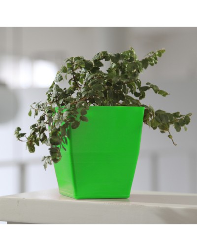 Matera Verde small Elaborada en plástico 100% Reciclado