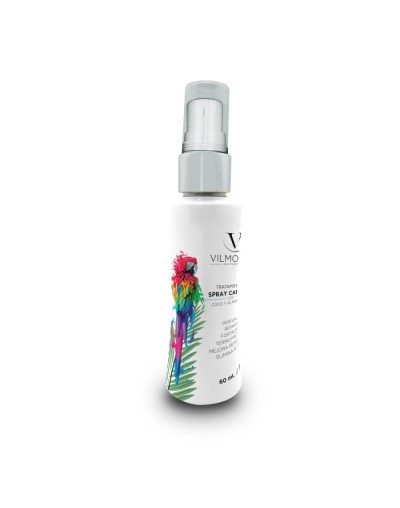 Spray termoprotector