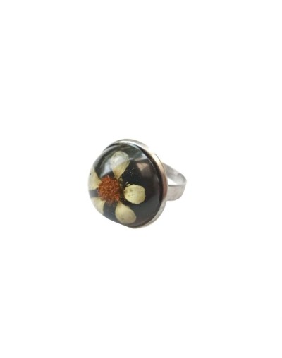 Anillo resplandor