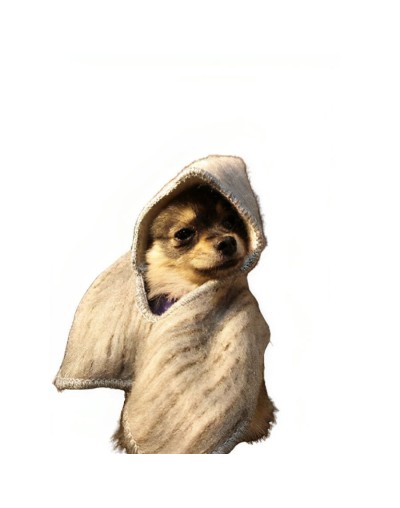 Ruana para mascotas con capota