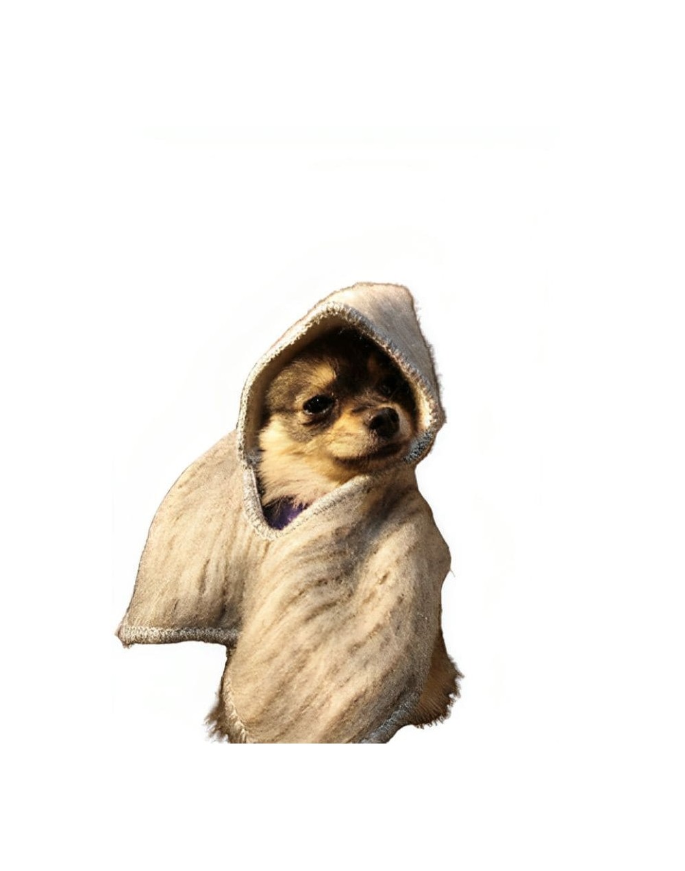 Ruana para mascotas con capota
