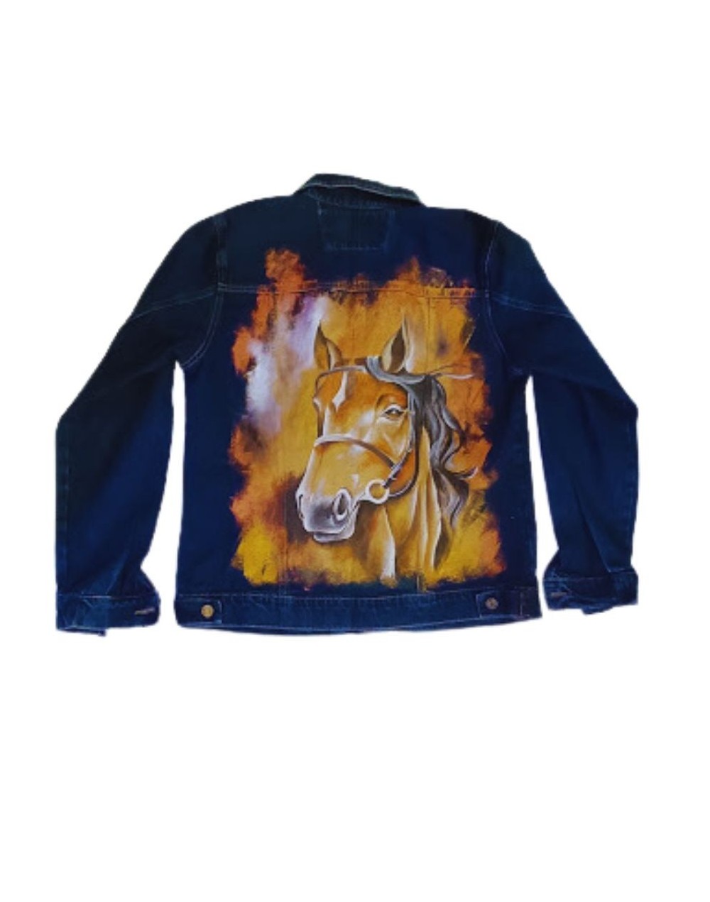 Chaqueta pintada a mano pegaso