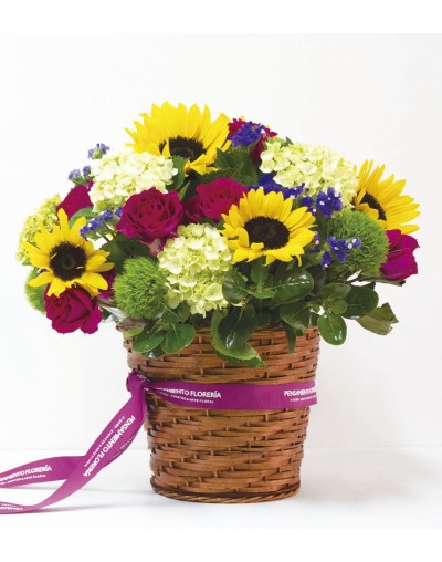 RAMO EN GIRASOLES VARIEGATTA