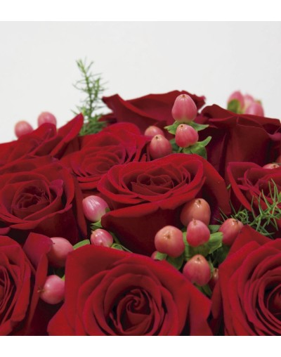 ROSAS ROJAS AMANTUS