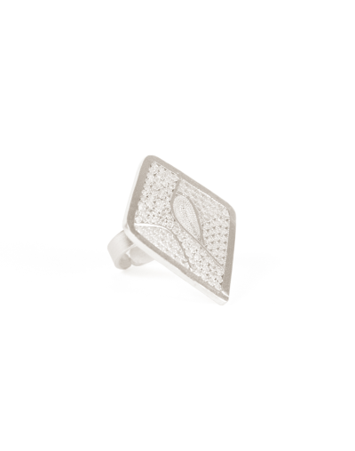 Anillo agua
