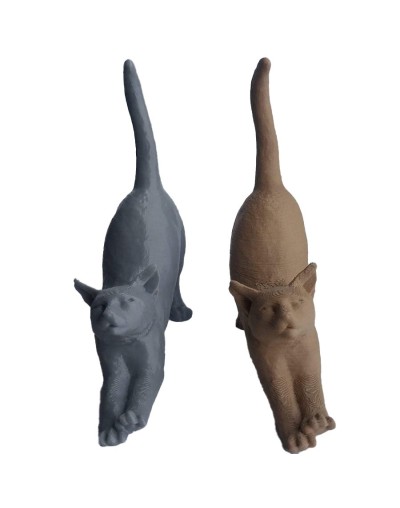 Gatos estirandose