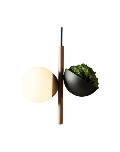 Lampara fungo