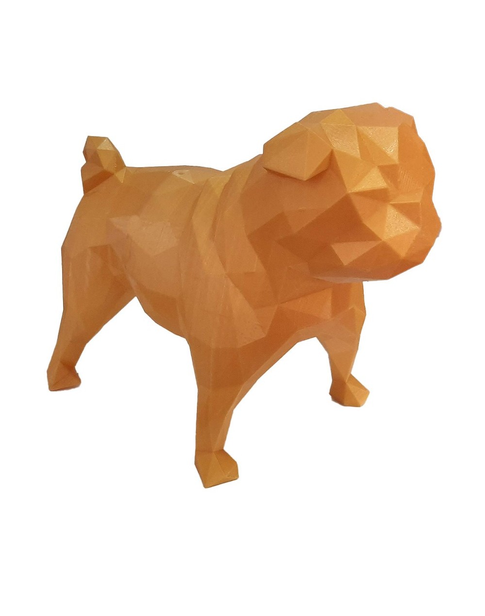 Perro pug