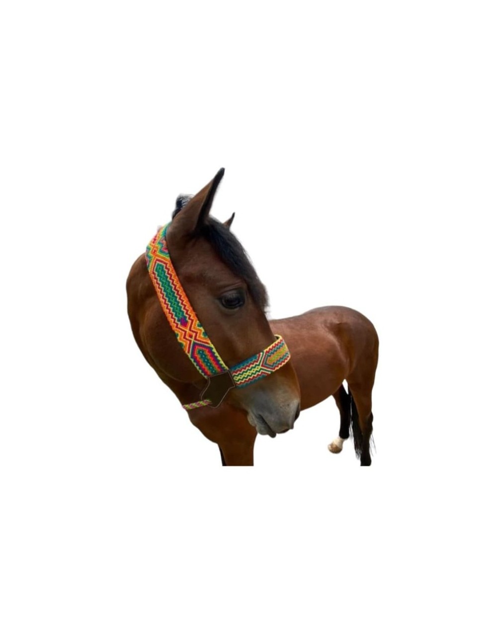 Jaquimas