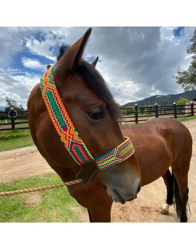 Jaquimas