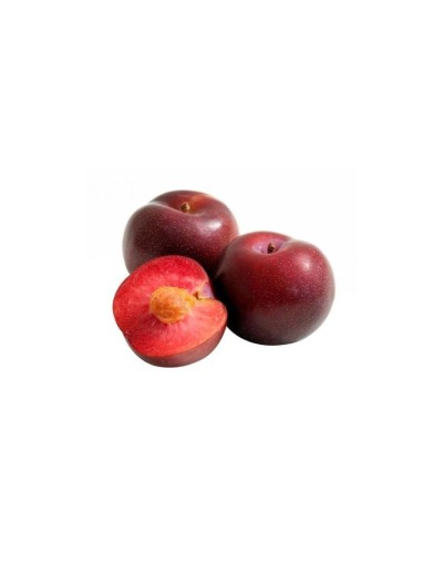 Ciruela