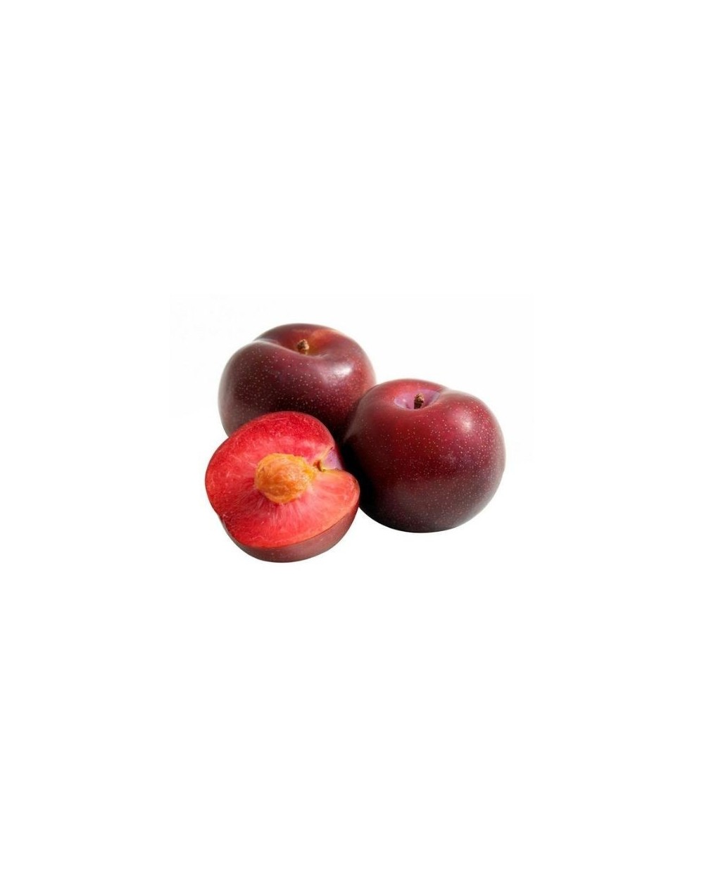 Ciruela