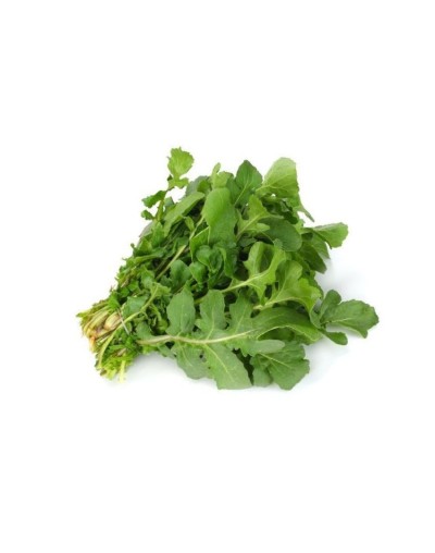 Lechuga rúgala