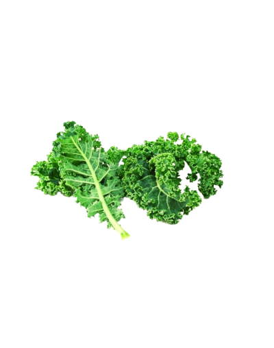 Kale rizado orgánico