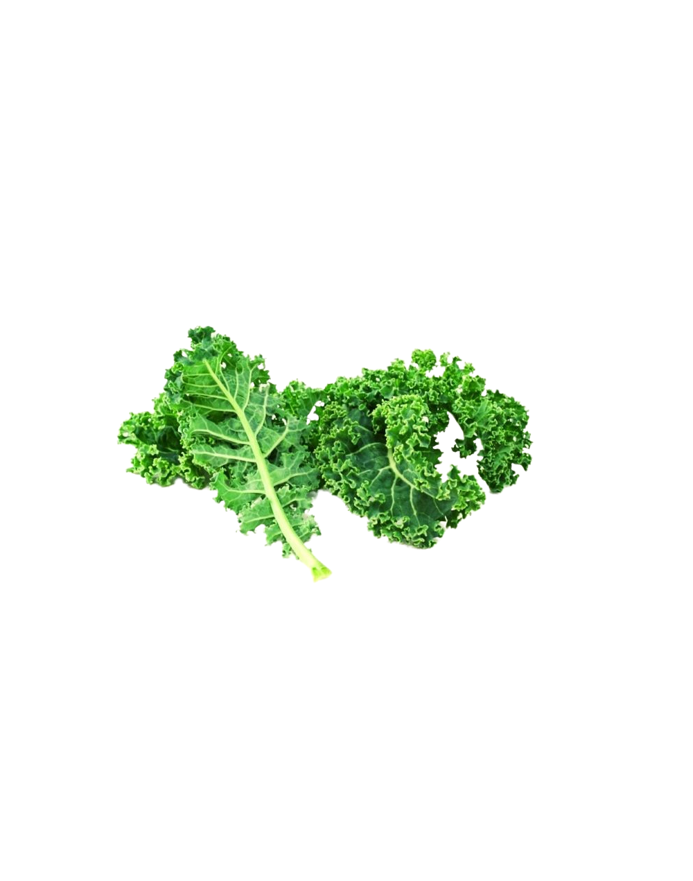 Kale rizado orgánico