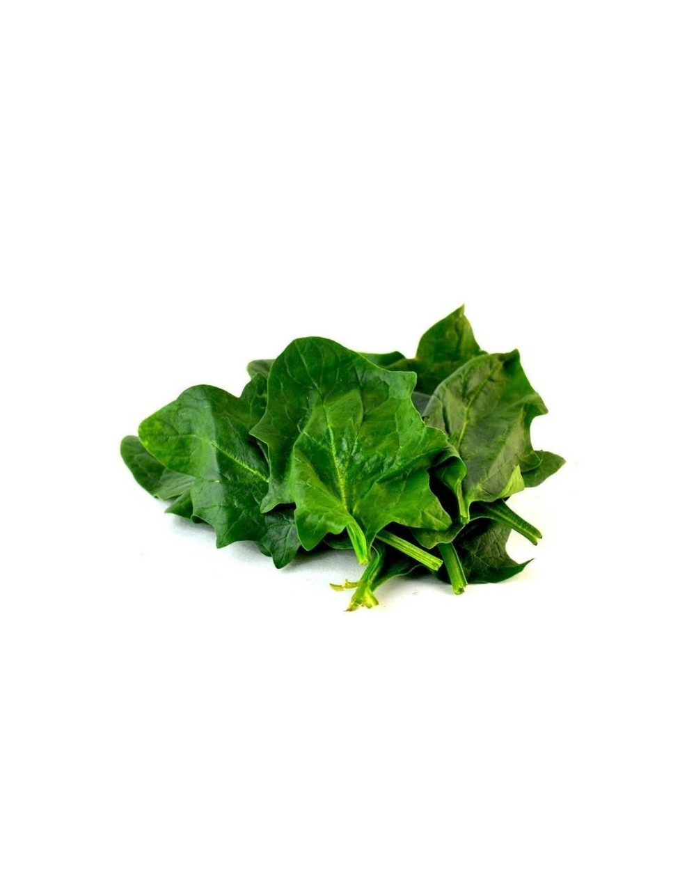 Espinaca baby
