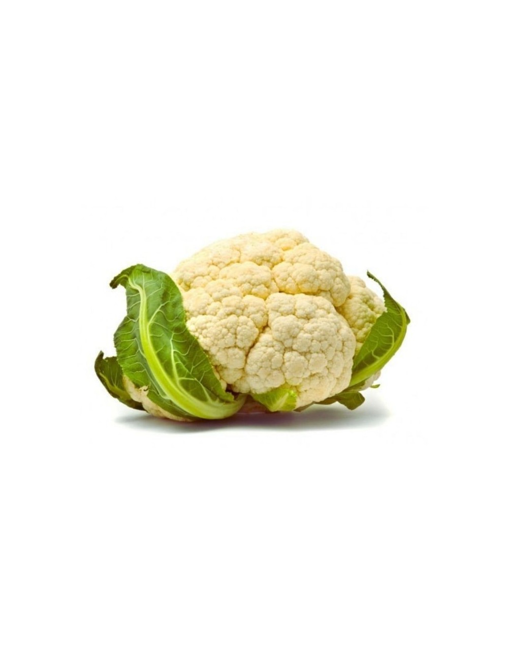 Coliflor