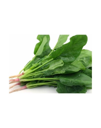 Espinaca de producción limpia