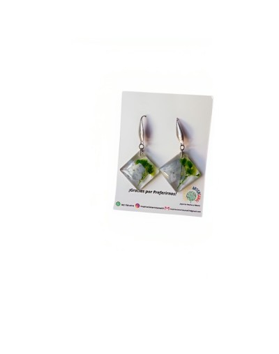Aretes de armonia 